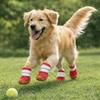 Breathable Dog Mesh Shoes Rubber Sole Adjustable Dog Paw Protectors Hollow Out Wear-resistant Anti-Slip Dog Boots