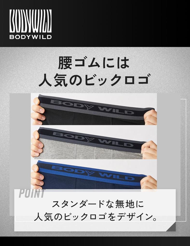 Gunze Boxer Briefs of 3P Boxer Briefs Underwear 9A M [BODY WILD] (Set 3) Men's (3 Colors)