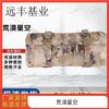 Набедренная сумка Yuanfeng Jiyue для активного отдыха, камуфляжная