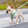 Puppy, X-type Suede Small Dog, Medium-sized Dog Chest Strap Harness + Lead Leash Set, Mint