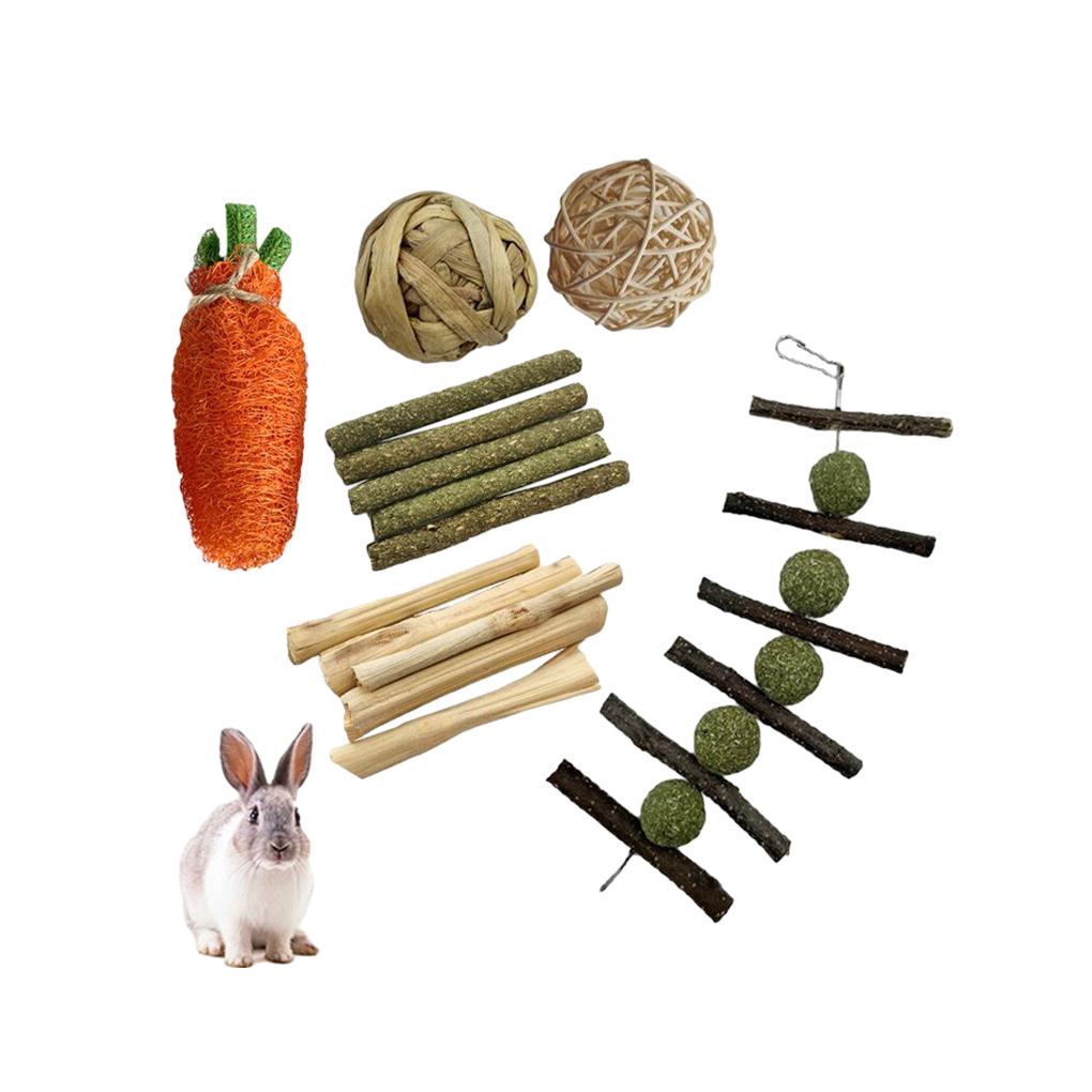 Wood Durable And Stylish Chew Toys Set For Rabbit Guinea Animal Chew Toys Chew Toys Bundle