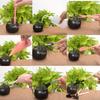 Succulent Planting Tools Set Flower Potting & Watering Gardening Combination Kit Wholesale