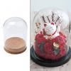 Glass Display Cloche Bell Jar Dome Flower Preservation Cover Wood Base DIY