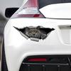 British Shorthair Cat 3D Break the Wall Car Sticker, Waterproof Vinyl Material Accessories, Interesting Creativity For Cars, Trucks, Motorcycles