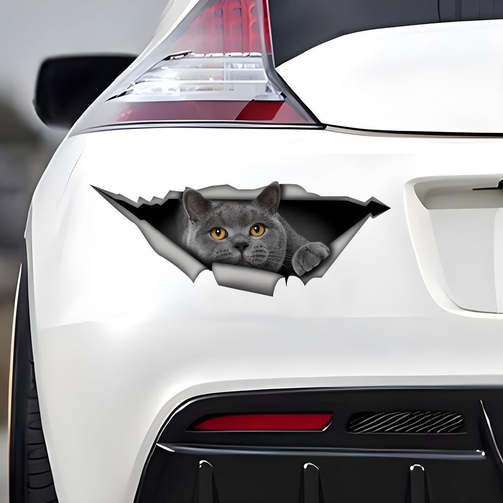 British Shorthair Cat 3D Break the Wall Car Sticker, Waterproof Vinyl Material Accessories, Interesting Creativity For Cars, Trucks, Motorcycles