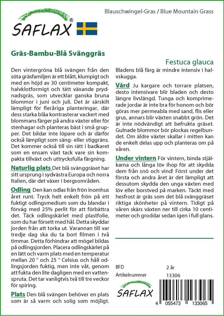 SAFLAX Голубая горная трава - 50 семян - Festuca glauca