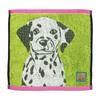 Marushin Wonderful Peace Love Eyes Далматин Милый Дизайн для Собак и Антибактериальный и 0765001600 Носовой Платок, Кошки, Устойчивый к Запаху, 100% Хлопок,