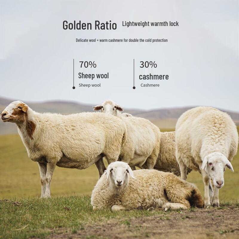 Shanshan Men's Heavyweight Jacquard Cashmere Wool Pullover Sweater