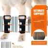 1PC PC Strips Dog Front Leg Brace Reflective Strips ACL Support Portable Joint Support