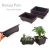 Dark Brown Balcony Square/Rectangle Succulents Bonsai Pots Nursery Pots Garden Supplies Planters