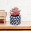 Artificial Plants Realistic Shape Creative Desktop Ornament Mini Simulation Potted Succulents Plant