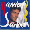 CD DAVID SANBORN - A Change Of Heart 32XD631 Warner Bros. Re 1987 Japan Jazz Used