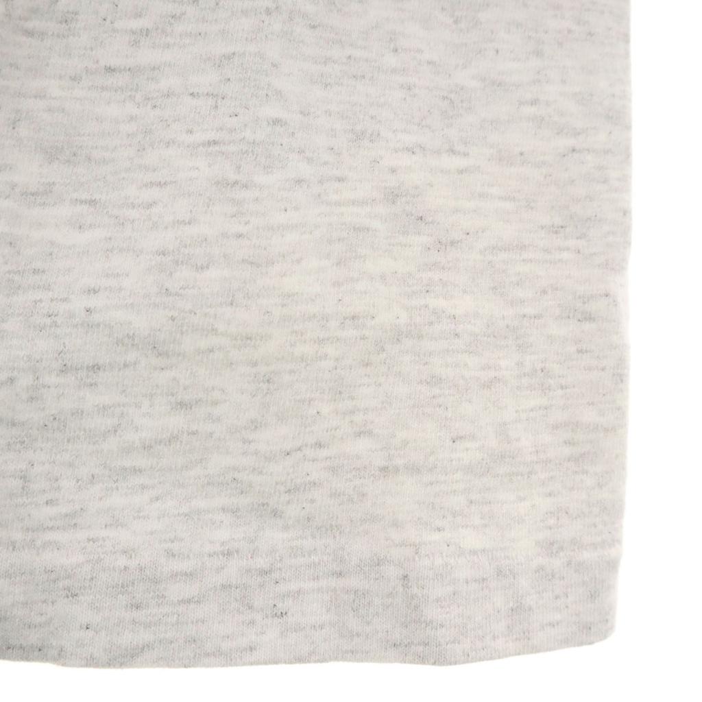 HANES 90s Made In USA Old Short Sleeve HEAVYWEIGHT T-shirt Single Stitch Men's Used