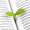 4Pcs Creative Novelty Sprout Bud Burgreen Bookmark Stationary