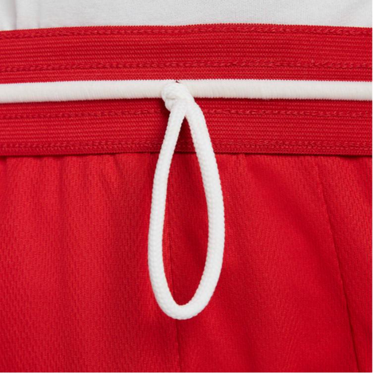 Nike Баскетбольные шорты мужские University Red DH6763-657