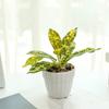 Plastic Artificial Plants Bonsai Lifelike Green Pot Plants Decoration  Outdoor Indoor Decoration