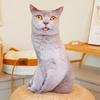 Милые Реалистичные 3D Плюшевые Игрушки Кошки Мягкая Кукла Животное Симуляция Подушка для Сна Диванная Подушка Мультяшная Кукла Домашний Декор Подарок