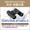 Бинокль OM SYSTEM 10x25 Black II, Компактный, Легкий, Водонепроницаемый, (10X25WP ЧЕРНЫЙ)