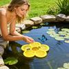 Flower Shaped Bee Watering Station Non-Slip Butterfly Drinking Tray  Butterfly Farm