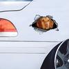 Vizsla 3D Break the Wall Car Sticker, Waterproof Vinyl Material Accessories, Interesting For Cars, Trucks, Motorcycles, Walls