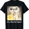 Смешная футболка с мемом про кота Erm What The Sigma
