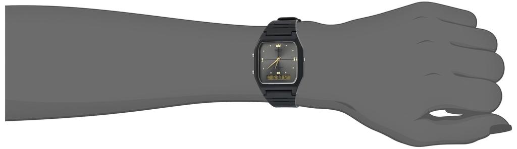 Смотреть Реимпортированный продукт [Casio Standard] AW-48HE-8A