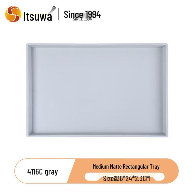 Nordic Minimalist Matte Rectangular Tray