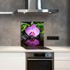 PANEL SZKLANY DO KUCHNI 60x65 Orchidea