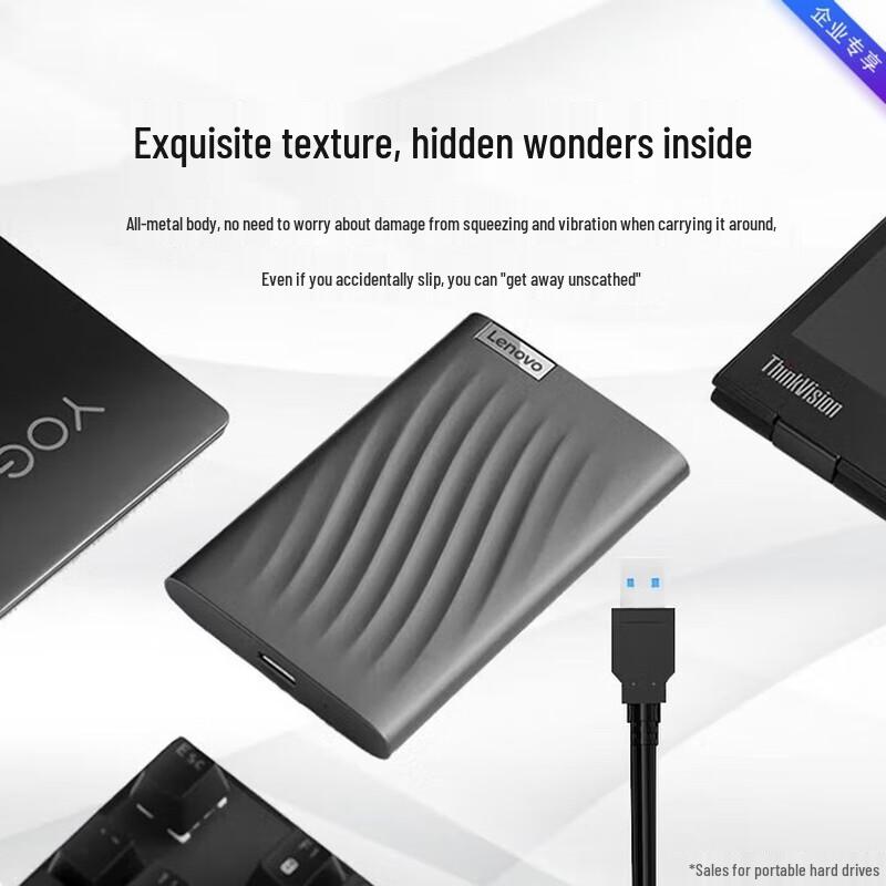 Lenovo F309 Pro 1TB Portable External Hard Drive