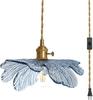 Vintage Hanging Light with Plug In Cord on/Off Switch Brushed Brass Pendant Light Fixtures