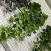 Плющ Подвесная Зелень Лиана Искусственные Растения Настенный Декор Гостиная Дом Подарок