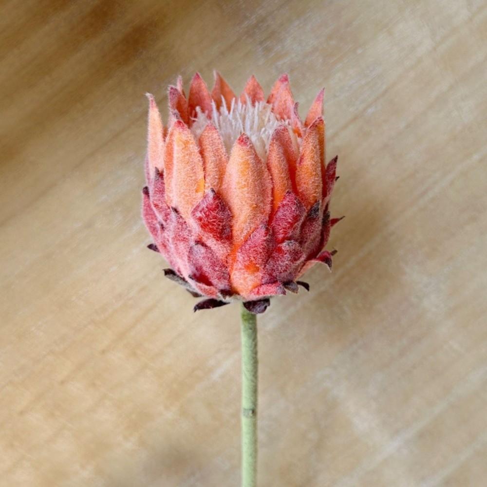 Multicolor Artificial Artichoke Flower Large Size Nordic Thistle Flower  Home Decoration