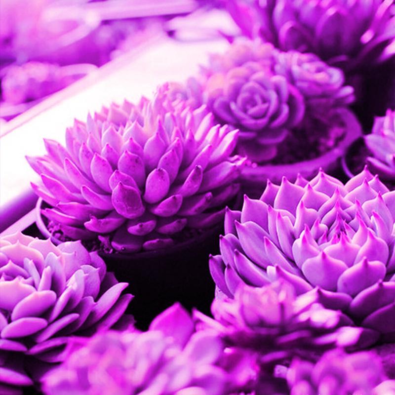 10 Вт светодиодная лампа для выращивания растений, USB, портативная, светодиодная лампа для роста растений, 5 В, полный спектр, фитолампа, 21 светодиод, вращающаяся, гибкий свет, для помещений