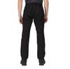 Regatta Dayhike IV Pants