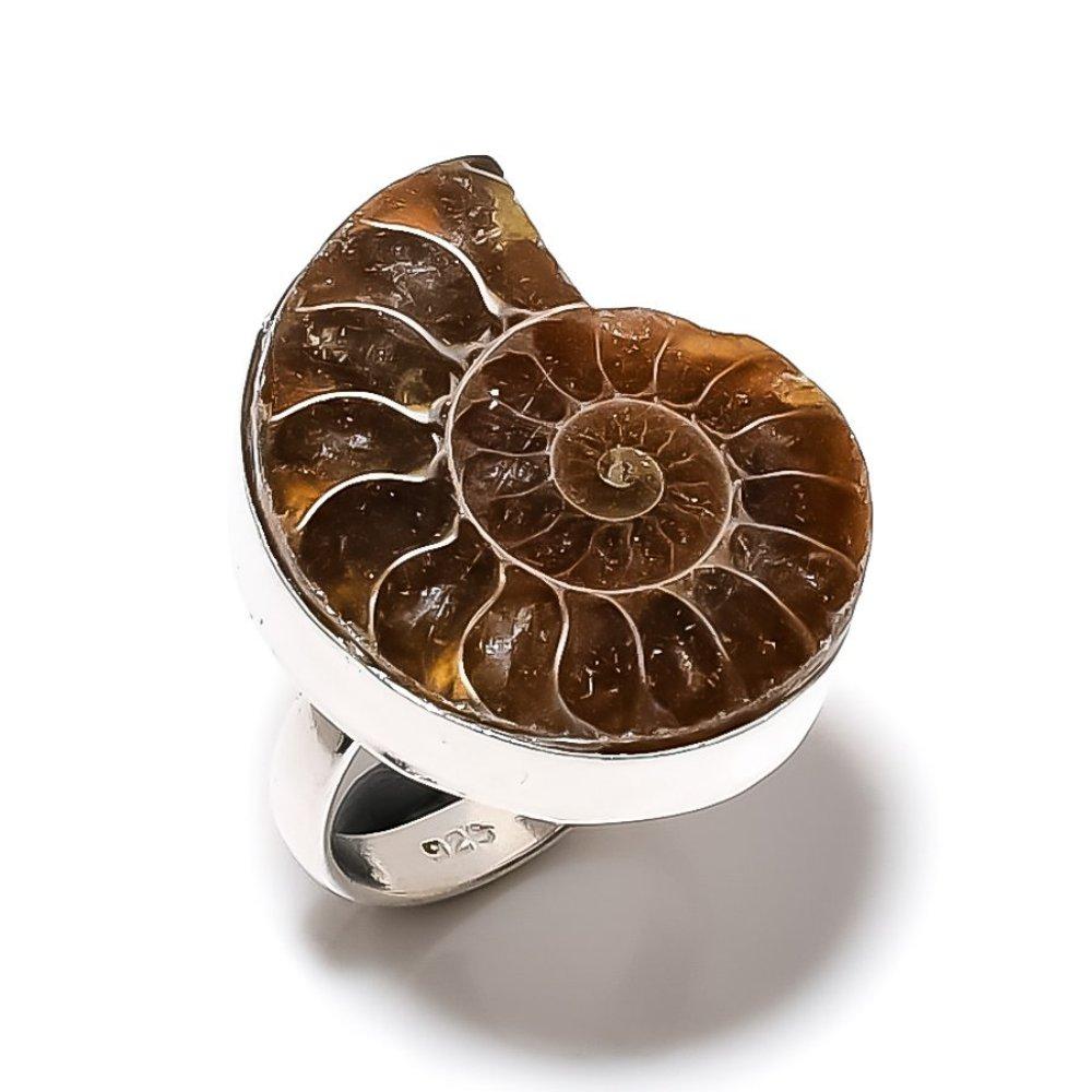 Ammonite Fossil Handmade 925 Sterling Silver Jewelry Ring Size 10 v0O51