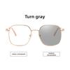 Photochromic Retro Gold-Rimmed Myopia Glasses Large Square Frame Anti-Blue Light Luxury Brand Designer Popular Metal Eyeglasses