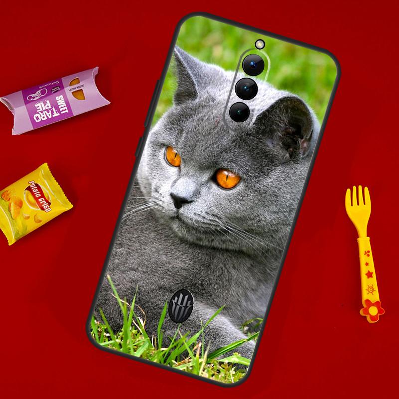 Чехол для телефона Британская короткошерстная кошка Для ZTE Nubia Red Magic 11 Pro Plus 10 10S 9 9S 8 8S 6S 7S 6 7 Pro 10 Air Чехол