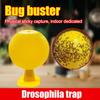 2/3/5Pcs Sticky Fly Trap Ball with Base Strong Adhesive Indoor Outdoor Restaurant Kitchen Small Flying Animals Capture Gnats Fruit Fly Catcher Device