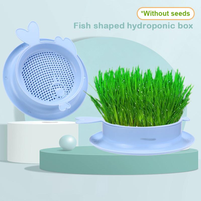 Mint Cat Grass Pot Soilless Hydroponic Lazy Cat Grass Planting Box Catnip Promote Digestion Cat Snacks Planting Container Tools