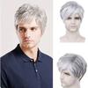 Men's Fashion Short Synthetic Wigs with Bangs Mixed Grey White Black Hair Silver Gray Daily Party Wig Heat Resistant Natural Hair