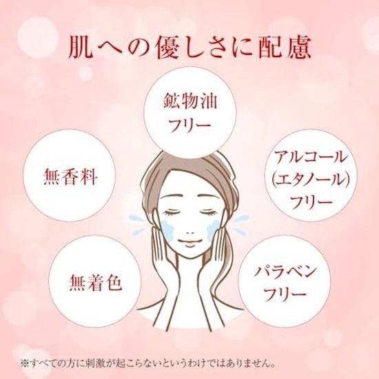 Hada Labo Gokujun Лечебный укрепляющий лосьон, сменный блок 170 мл x 2 шт. + Саше в комплекте Квази-лекарственное средство