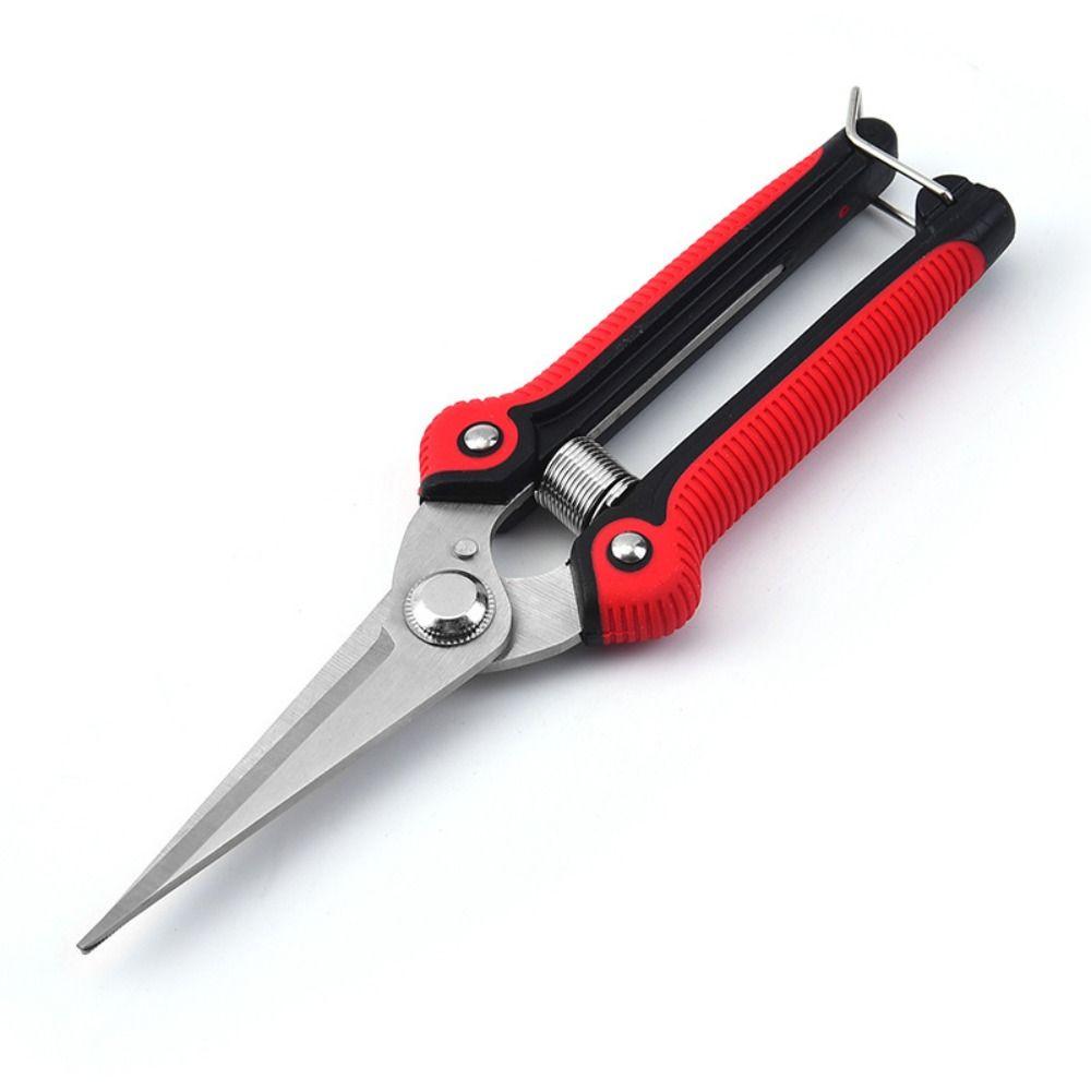 Branch Pruner Branch Pruning Shears Garden Scissors Gardening Hand Pruner Pruning Gardening Shears