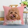 Pet Dog Print Decorative Pillowcase Bedroom Living Room Square Cushion Pillowcase