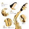 Eastar Alto Saxophone E Saxophone Gold Lacquer Saxophone with Case Care Set Christmas (for Performance) AS-