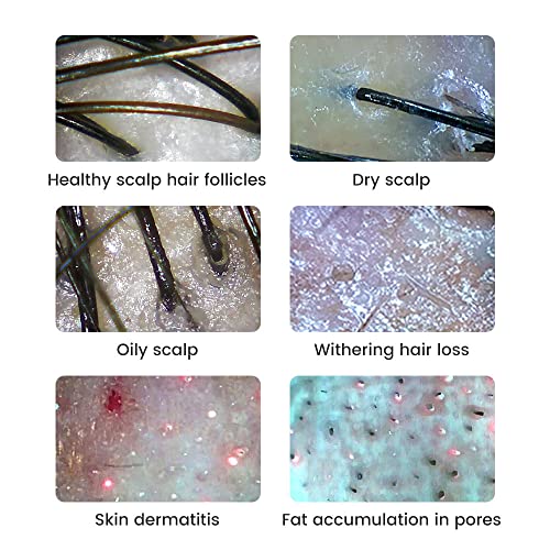 WiFi1000X electron microscope  mobile phone microscope  optical digital microscope  electron magnifying glass