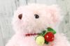 Take Off Plush Music Box Wild Strawberry Bear, Small, Pink