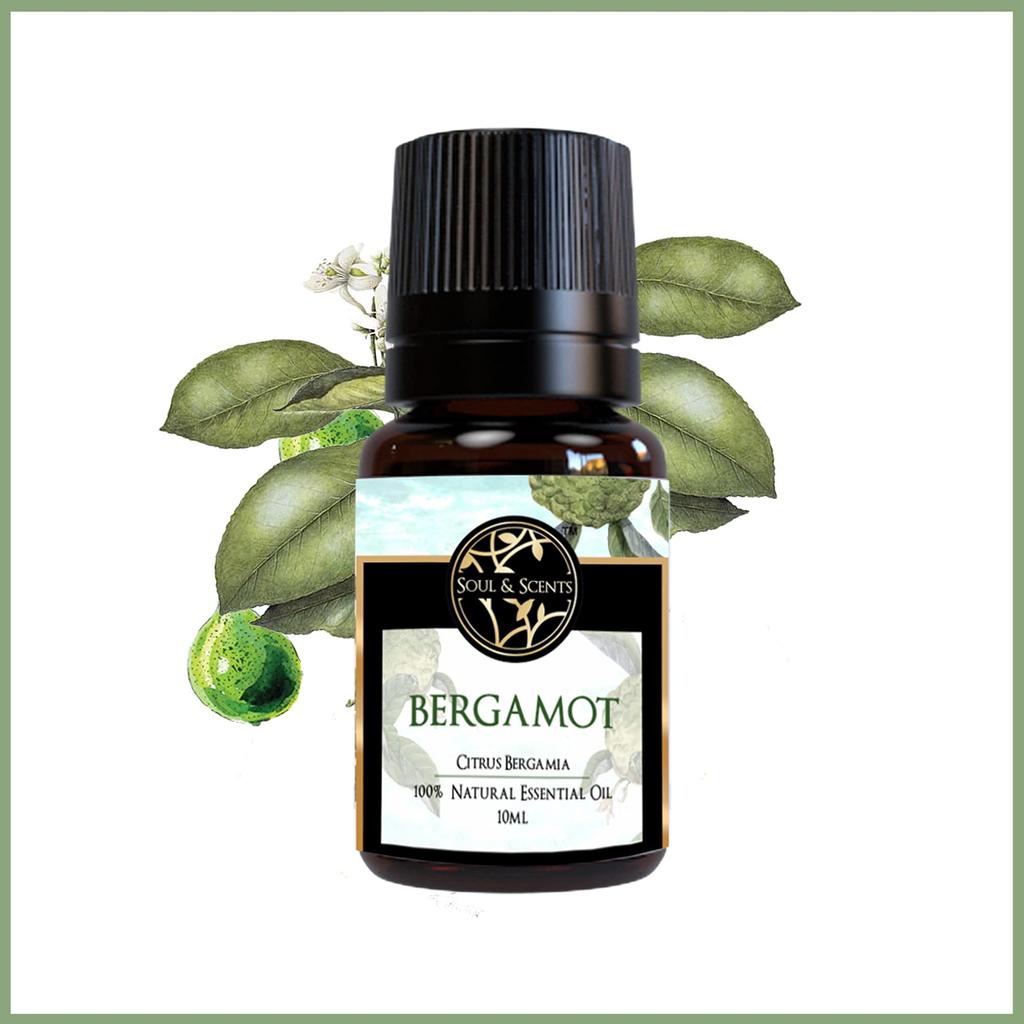Soul & Scents Натуральное эфирное масло бергамота | Чистое цитрусовое масло терапевтического класса для ароматерапии, баланса настроения и бодрящего аромата | 100% Орг