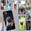 Чехол для iPhone 14 Pro Max 16 15 11 12 13 17 Pro Max mini 15 16 Plus 16e 17 Air с изображением мопса и французского бульдога