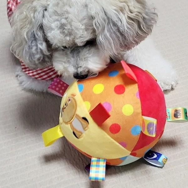 Игрушка для собак Petka, перетягивание мяча, вкладка для собак, TB-01