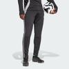 adidas Штаны мужские зимние Tiro 24, черные, светло-агатовые IM9974